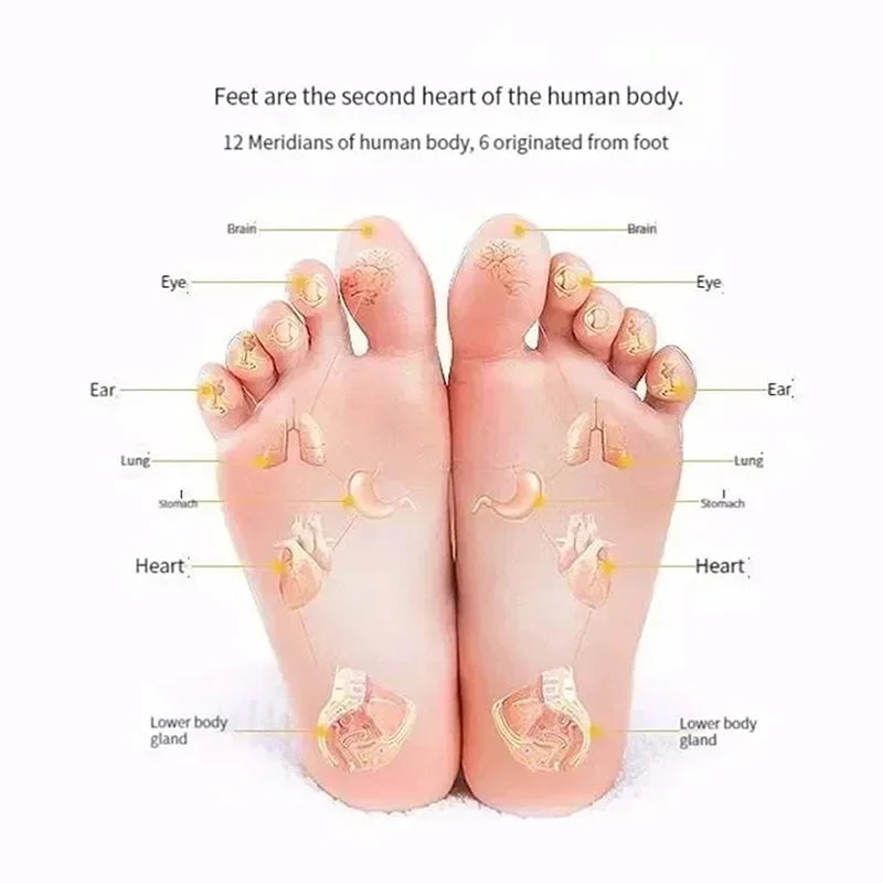 Supplier foot reflexology diagram labeling areas of the soles